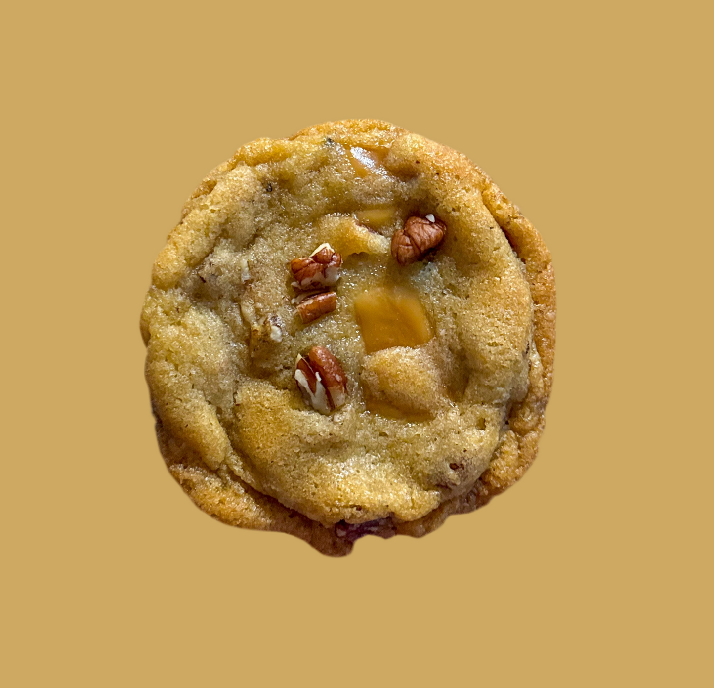 Caramel Pecan Lactation NipChip