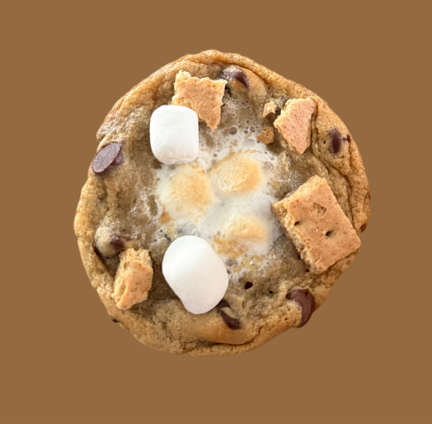 S’mores Sourdough NipChip